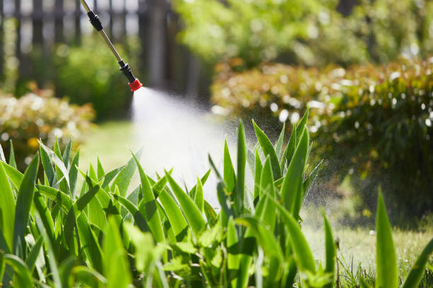 24/7 Emergency Mosquito Control experts in Lowell, MI