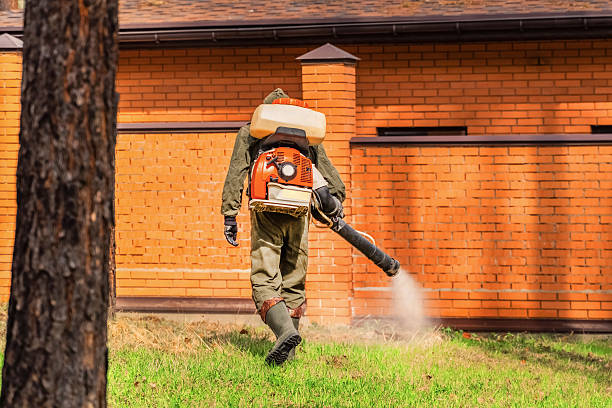 Top rated local Mosquito Control specialists in Lowell, MI